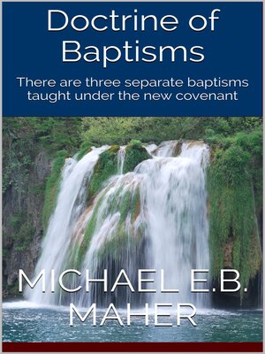 cover image of Doctrine of Baptisms